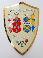 Duke Double Battle Shield